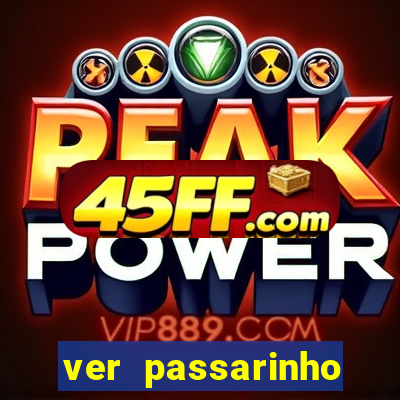 ver passarinho morto significado